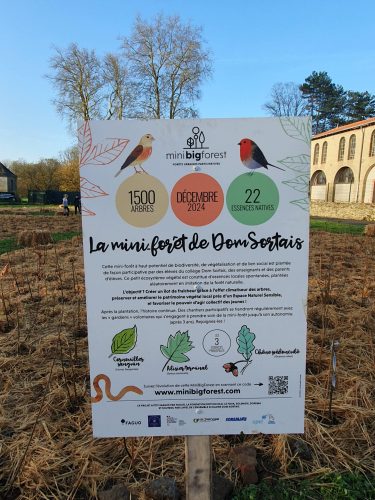 projet mini big forest dom sortais decembre 2024